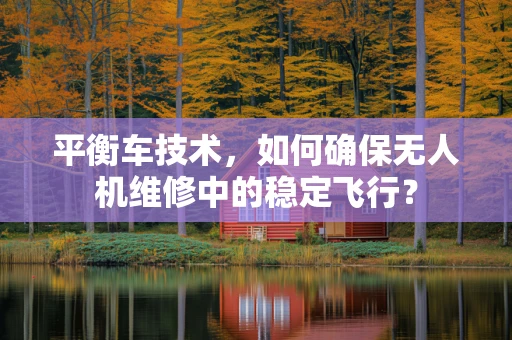 平衡车技术，如何确保无人机维修中的稳定飞行？