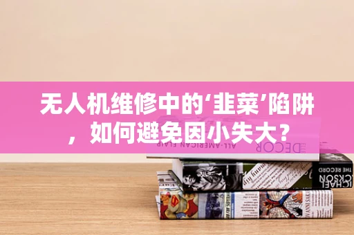 无人机维修中的‘韭菜’陷阱，如何避免因小失大？