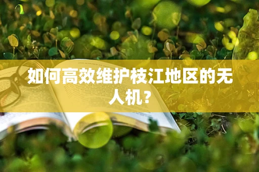 如何高效维护枝江地区的无人机？