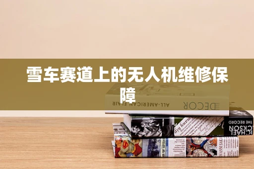 雪车赛道上的无人机维修保障