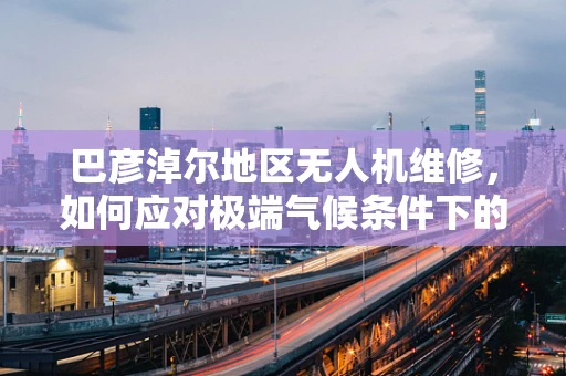 巴彦淖尔地区无人机维修，如何应对极端气候条件下的挑战？