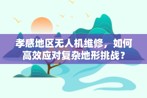 孝感地区无人机维修，如何高效应对复杂地形挑战？