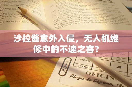 沙拉酱意外入侵，无人机维修中的不速之客？