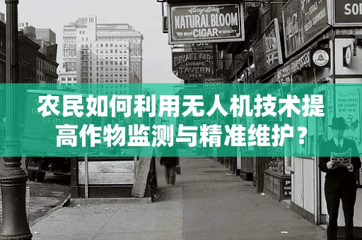 农民如何利用无人机技术提高作物监测与精准维护？