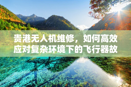 贵港无人机维修，如何高效应对复杂环境下的飞行器故障？