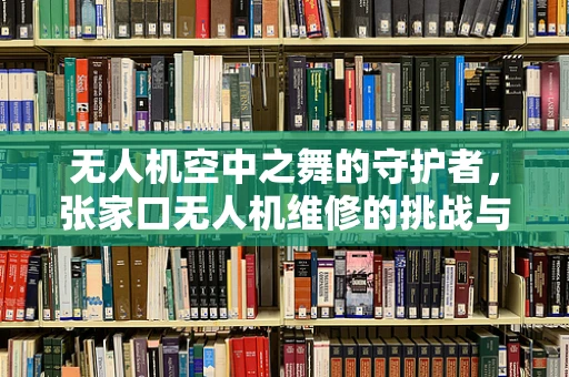 无人机空中之舞的守护者，张家口无人机维修的挑战与对策