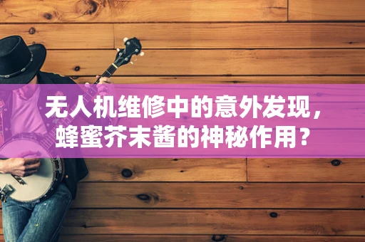 无人机维修中的意外发现，蜂蜜芥末酱的神秘作用？