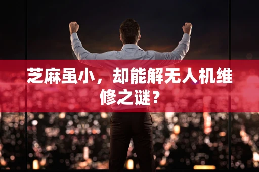 芝麻虽小，却能解无人机维修之谜？
