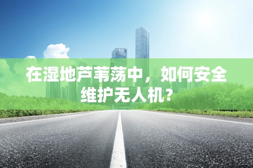 在湿地芦苇荡中，如何安全维护无人机？