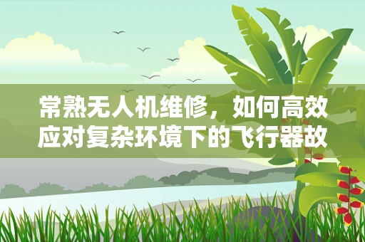 常熟无人机维修，如何高效应对复杂环境下的飞行器故障？