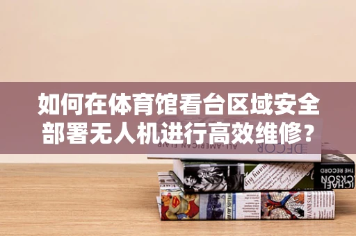 如何在体育馆看台区域安全部署无人机进行高效维修？