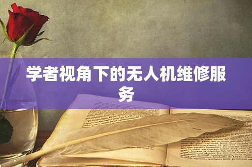 学者视角下的无人机维修服务