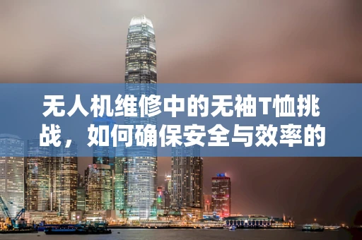 无人机维修中的无袖T恤挑战，如何确保安全与效率的平衡？