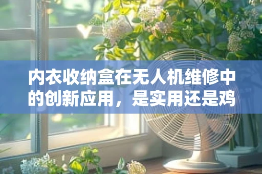 内衣收纳盒在无人机维修中的创新应用，是实用还是鸡肋？