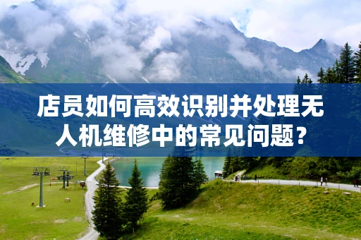 店员如何高效识别并处理无人机维修中的常见问题？