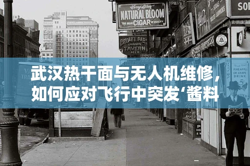 武汉热干面与无人机维修，如何应对飞行中突发‘酱料’干扰？