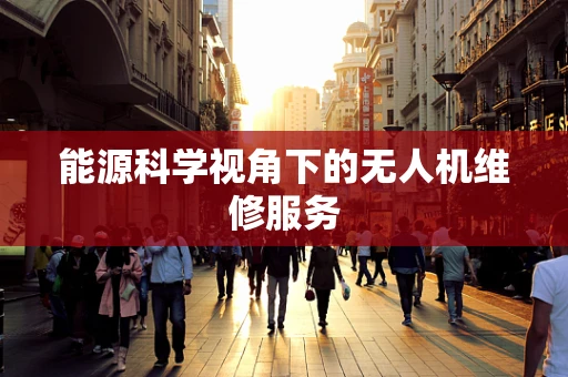 能源科学视角下的无人机维修服务