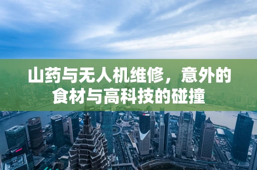 山药与无人机维修，意外的食材与高科技的碰撞