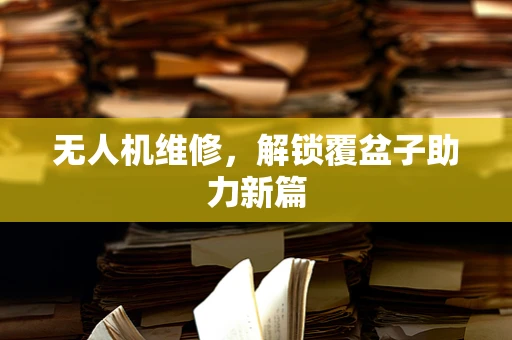 无人机维修，解锁覆盆子助力新篇