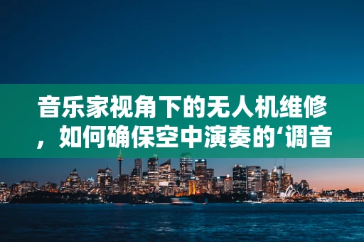 音乐家视角下的无人机维修，如何确保空中演奏的‘调音师’精准无误？
