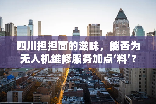 四川担担面的滋味，能否为无人机维修服务加点‘料’？