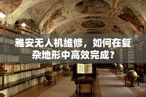 雅安无人机维修，如何在复杂地形中高效完成？