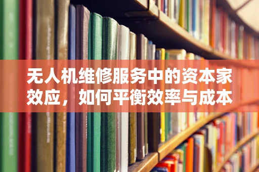 无人机维修服务中的资本家效应，如何平衡效率与成本控制？