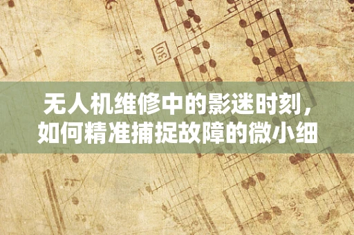 无人机维修中的影迷时刻，如何精准捕捉故障的微小细节？