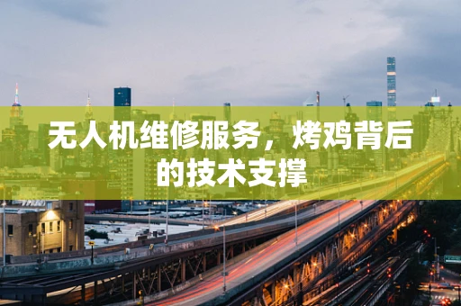 无人机维修服务，烤鸡背后的技术支撑