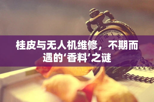 桂皮与无人机维修，不期而遇的‘香料’之谜