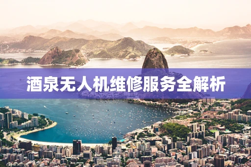 酒泉无人机维修服务全解析