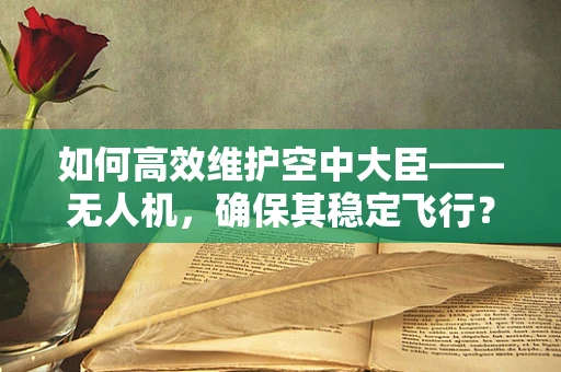 如何高效维护空中大臣——无人机，确保其稳定飞行？