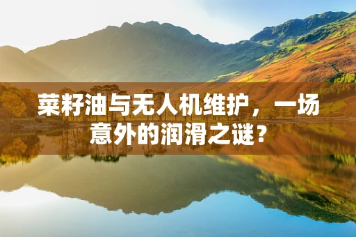 菜籽油与无人机维护，一场意外的润滑之谜？