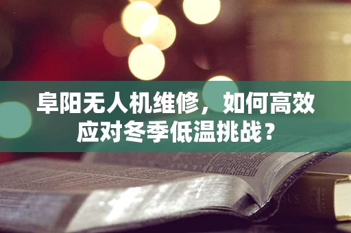 阜阳无人机维修，如何高效应对冬季低温挑战？