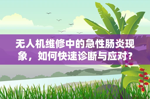 无人机维修中的急性肠炎现象，如何快速诊断与应对？