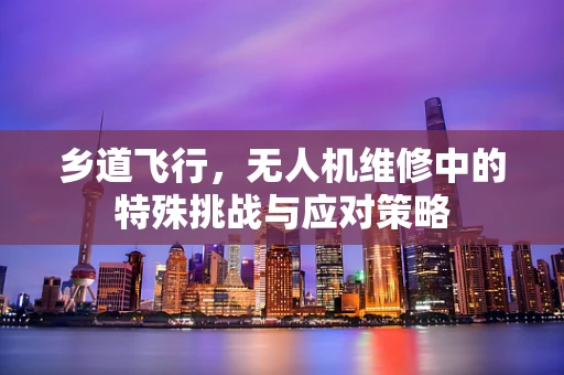 乡道飞行，无人机维修中的特殊挑战与应对策略