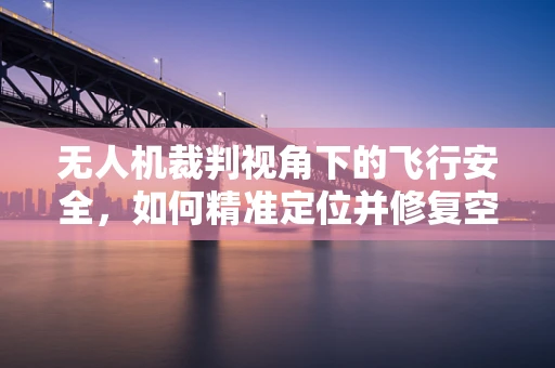 无人机裁判视角下的飞行安全，如何精准定位并修复空中‘裁判’的盲区？