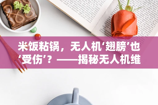 米饭粘锅，无人机‘翅膀’也‘受伤’？——揭秘无人机维修中的意外挑战