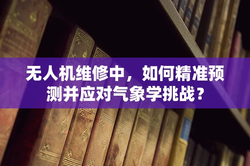 无人机维修中，如何精准预测并应对气象学挑战？