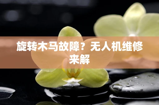 旋转木马故障？无人机维修来解