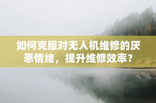 如何克服对无人机维修的厌恶情绪，提升维修效率？