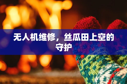 无人机维修，丝瓜田上空的守护