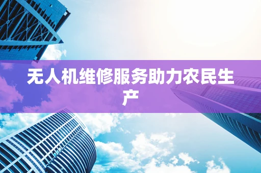 无人机维修服务助力农民生产