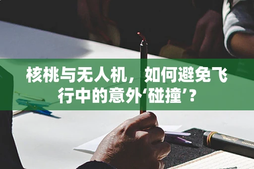 核桃与无人机，如何避免飞行中的意外‘碰撞’？