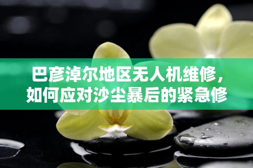 巴彦淖尔地区无人机维修，如何应对沙尘暴后的紧急修复？