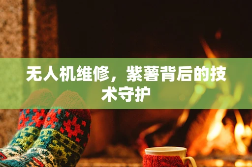 无人机维修，紫薯背后的技术守护