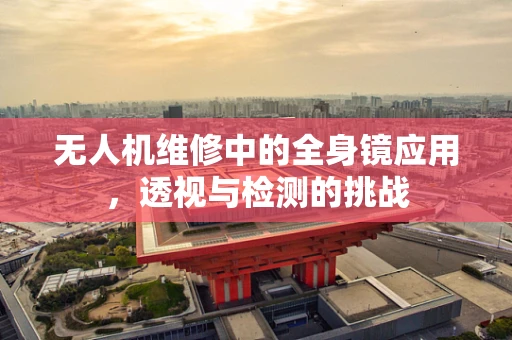 无人机维修中的全身镜应用，透视与检测的挑战