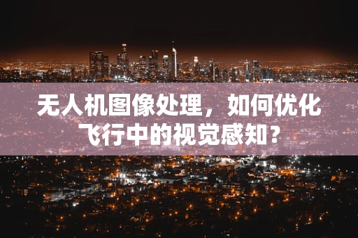 无人机图像处理，如何优化飞行中的视觉感知？