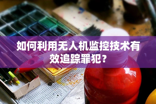 如何利用无人机监控技术有效追踪罪犯？