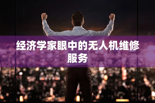 经济学家眼中的无人机维修服务